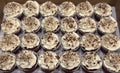 Classic Cupcakes (1 Dozen)